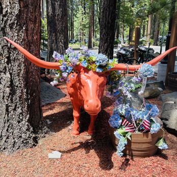 Austin's - Texas Longhorn - American Near Me - Incline Village, Nevada