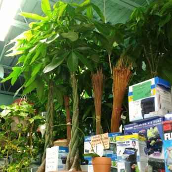 Discount Dragon Aquarium - Aquariums Near Me - Mississauga, Ontario