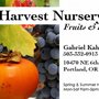 Photo of Harvest Nursery