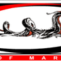Photo of Academy Of Martial Arts
