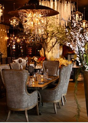 Wolf by Vanderpump at Harveys Lake Tahoe by null