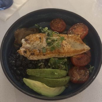 Coast Kitchen & Bar - Amazing Salmon Bowl. Clearly items are fresh and made right - Seafood Near Me - Tampa, Florida Coast Kitchen & Bar - Amazing Salmon Bowl. Clearly items are fresh and made right - Seafood Near Me - Tampa, Florida