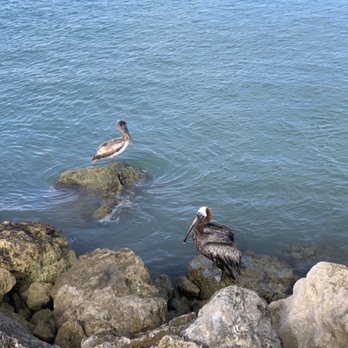 Jetty Park Beach - Parks Near Me - Fort Pierce, Florida Jetty Park Beach - Parks Near Me - Fort Pierce, Florida