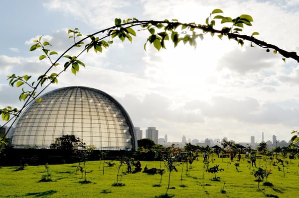 Parque Villa-Lobos by null