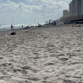 Canova Dog Beach - Dog Parks Near Me - Indialantic, Florida