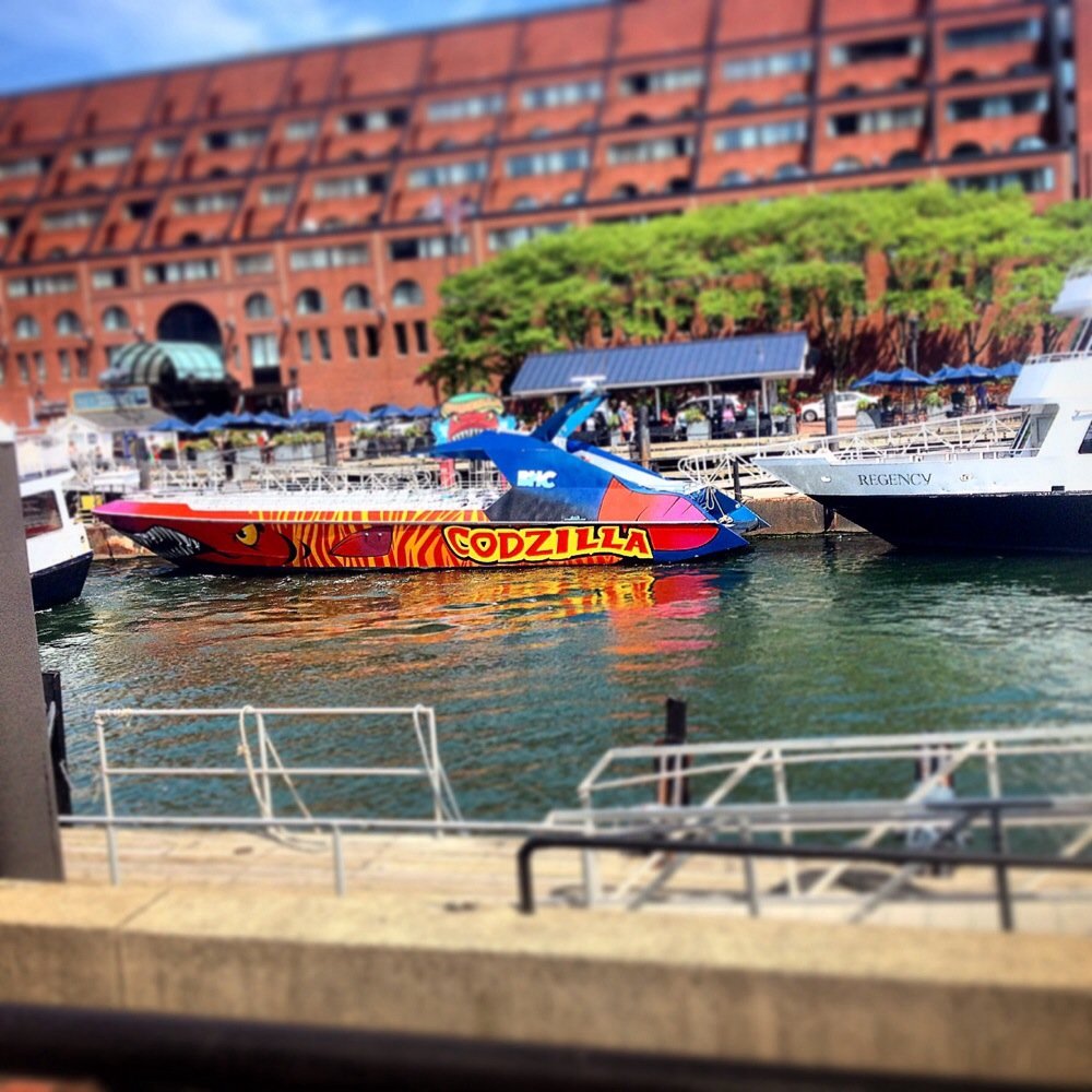 Codzilla - Boat Tours Near Me - Boston, Massachusetts