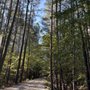 American Tobacco Trail - Chatham & Wake