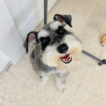 Wags & Ruffs - Pet Boarding Near Me - San Diego, California