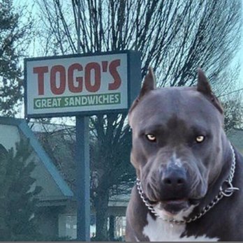 TOGO'S Sandwiches - Sandwiches Near Me - Beaverton, Oregon