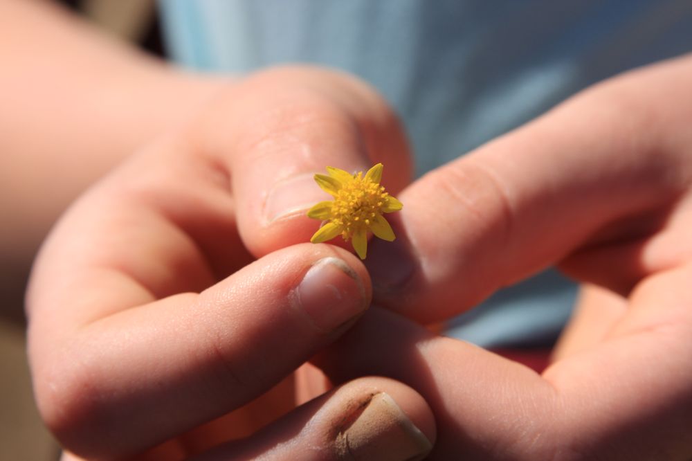 Rogue Valley Educational Services - childcare center in Ashland, OR