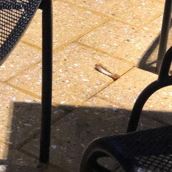 Buffalo Wild Wings - Found lots of chicken bones around the tables, not very appetizin...1/21/19. - Chicken Wings Near Me - Miami, Florida Buffalo Wild Wings - Found lots of chicken bones around the tables, not very appetizin...1/21/19. - Chicken Wings Near Me - Miami, Florida
