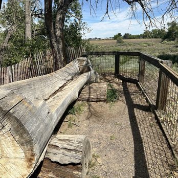 Bluff Lake Nature Center - Community Service/Non-Profit Near Me - Denver, Colorado