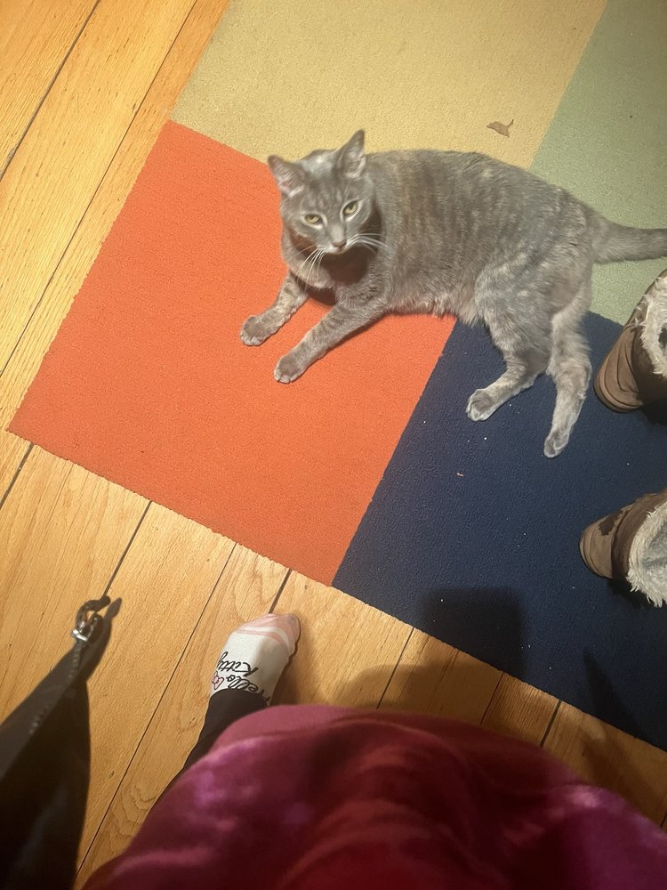 Happy Pets Pet Sitting Services - pet boarding facility in Schenectady, NY