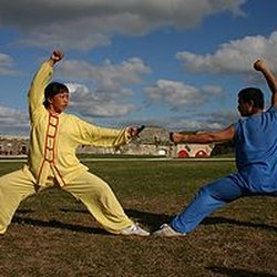 Fair Oaks Tai Chi & Meihuazhuang