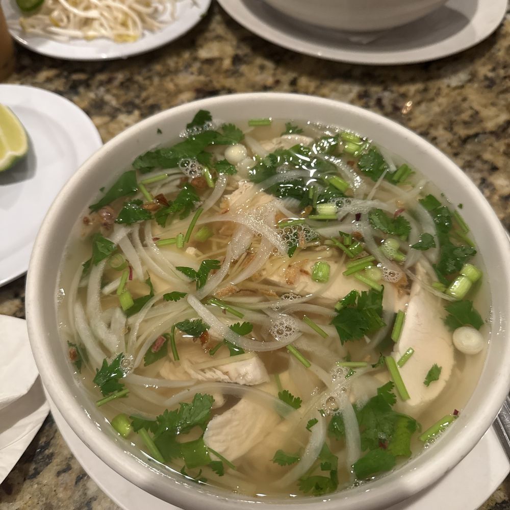 Saigon Noodle House - P8. Phở Gà- Sliced Chicken - Vietnamese Near Me - Birmingham, Alabama