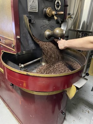 Smelly Cat Coffee House & Roastery by null