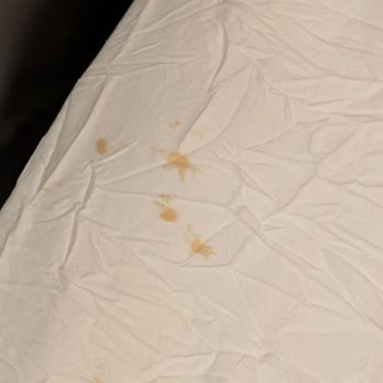 Motel 6 - Stained sheets - Hotels Near Me - Buellton, California