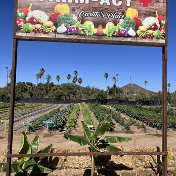 Carlitos Place - Fresh garden on site - Sushi Bars Near Me - El Pescadero, BCS