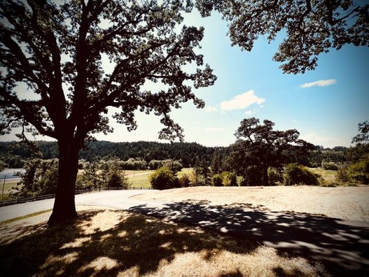 Beaux Frères by null