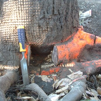 Arborscape Tree Care - Tree Services Near Me