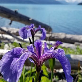 Trail River Campground - Campgrounds Near Me - Anchorage, Alaska