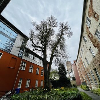 Stadtbibliothek Stralsund - Libraries Near Me - Stralsund, MV
