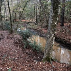 Big Creek Scenic Area