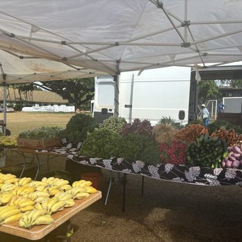 Grove Farm Market - Who could resist buying a fruit? - Farmers Market Near Me - Lihue, Hawaii