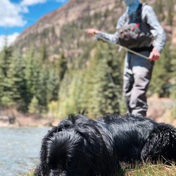 Telluride Fly Fishers - Telluride Fly Fishers