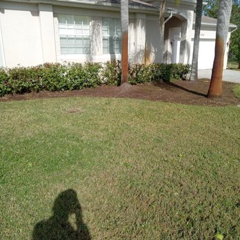 T's Affordable Lawn Services - Tree Services Near Me T's Affordable Lawn Services - Tree Services Near Me