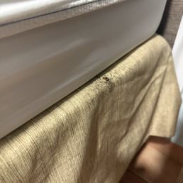 Mold Mold