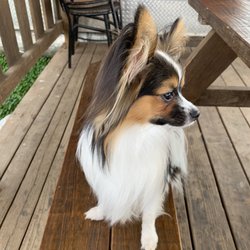 LK Taqueria - Here's my breakfast date