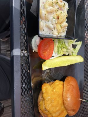 Crazy Craig's Treehouse by null