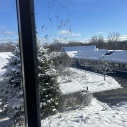 Willowcrest Care Center - Filth all over windows & bugs in windows!!