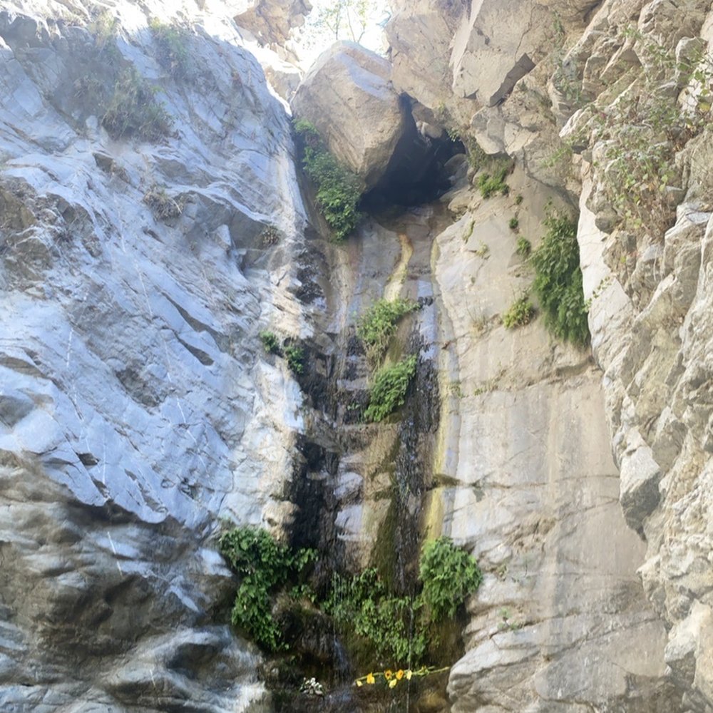 Millard Canyon - 8/7/22 - Parks Near Me - Altadena, California Millard Canyon - 8/7/22 - Parks Near Me - Altadena, California