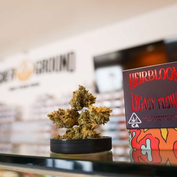Higher Ground - top shelf flower deals in Moreno Valley cannabis store - Cannabis Dispensaries Near Me - Moreno Valley, California Higher Ground - top shelf flower deals in Moreno Valley cannabis store - Cannabis Dispensaries Near Me - Moreno Valley, California
