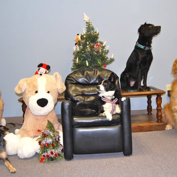 Adventure Unleashed - Pet Training Near Me - Reynoldsburg, Ohio Adventure Unleashed - Pet Training Near Me - Reynoldsburg, Ohio
