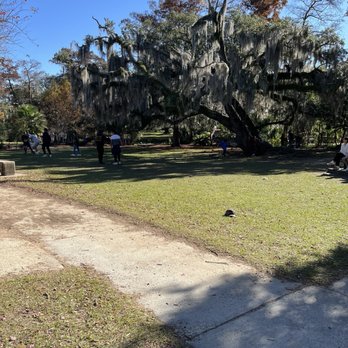 City Park - The park - Parks Near Me - New Orleans, Louisiana City Park - The park - Parks Near Me - New Orleans, Louisiana