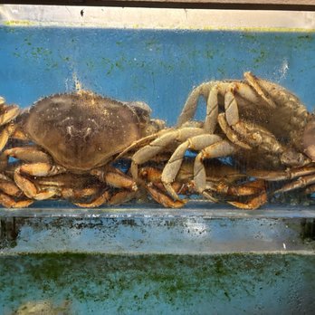 The Fish Man - Seafood Near Me - Richmond, British Columbia The Fish Man - Seafood Near Me - Richmond, British Columbia