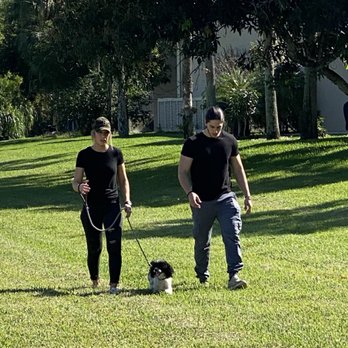 Bar K9 Dog Training - Pet Training Near Me Bar K9 Dog Training - Pet Training Near Me
