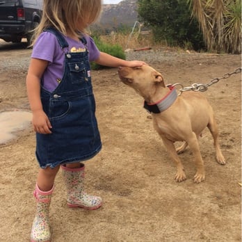 Canine Cryobank - Pet Services Near Me - San Marcos, California