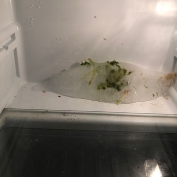 Motel 6 Beaverton - What was in my refrigerator!! Not mine! - Hotels Near Me - Beaverton, Oregon
