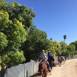 Mettrick Quarter Horses - Trail ride during a weekly lesson.