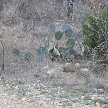 Bamberger Nature Park - Parks Near Me - San Antonio, Texas