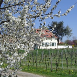 Hotel halbersbacher