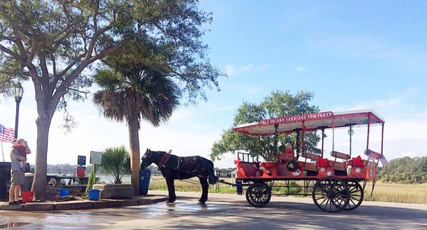 Sea Island Carriage Company by null