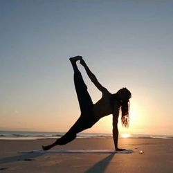 Art Of Yoga - Side Arm Balance