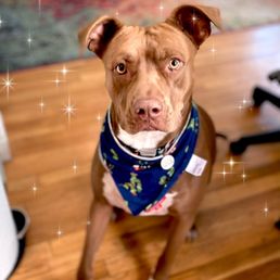 Our fur baby