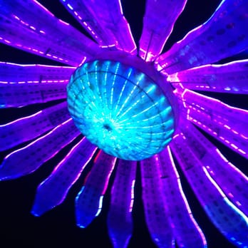 Electric Daisy Carnival - 2013 - Festivals Near Me - Clark, Nevada