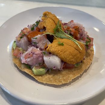 Holbox - Tostada de Kanpachi + Uni - Latin American Near Me - Los Angeles, California Holbox - Tostada de Kanpachi + Uni - Latin American Near Me - Los Angeles, California